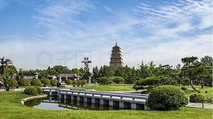 世界杯官网 娄底最大的园林绿化苗木市场