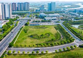 世界杯官网 宁德最大绿化苗市场在哪里