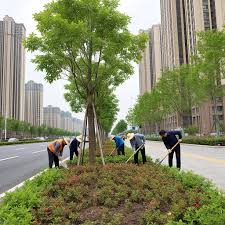 世界杯官网 景洪绿化资质取消了并入市政吗